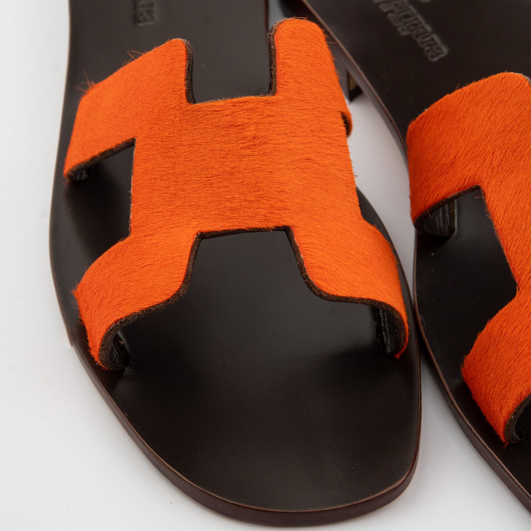 #colore_cavallino arancio